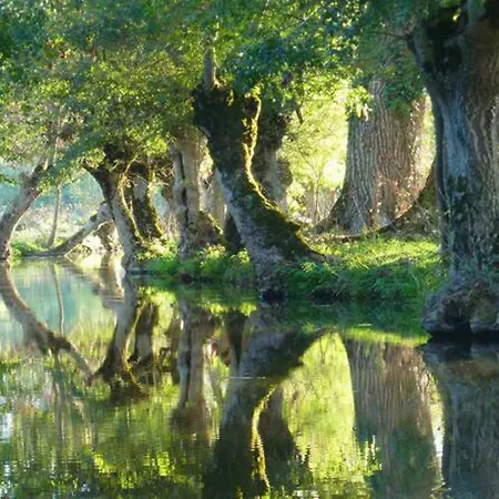 펜션 La Laujere Ivie - & Piscine Privative Saint-Hilaire-du-Bois (Vendee)