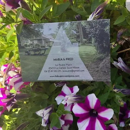 La Laujere Ivie - & Piscine Privative * Saint-Hilaire-du-Bois (Vendee)