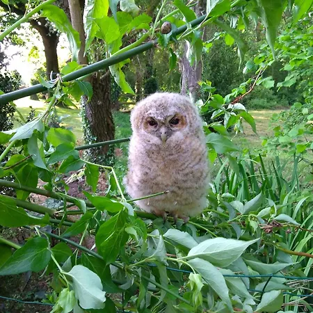 La Laujere Ivie - & Piscine Privative Holiday home *